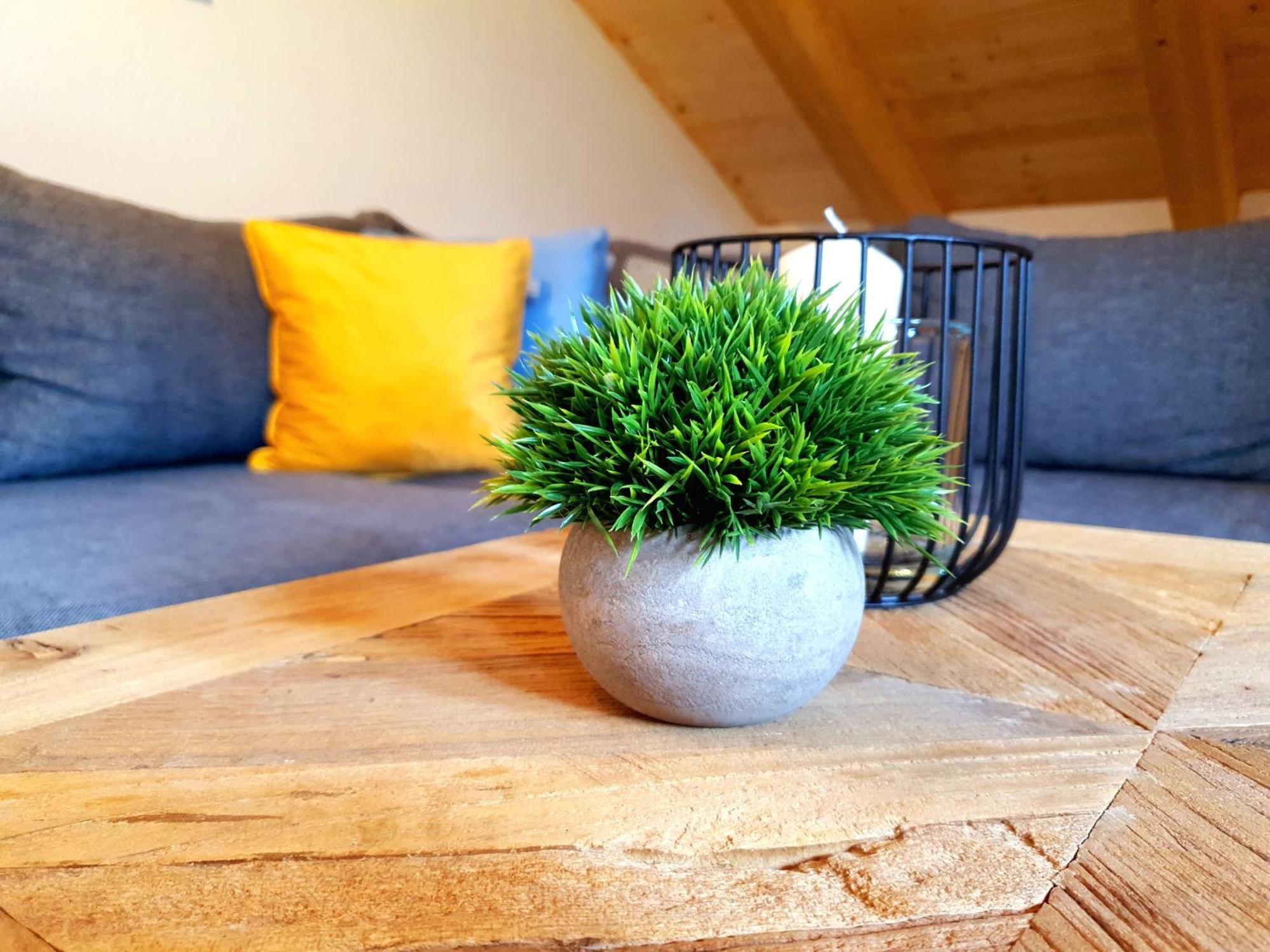 Apartment Gipfelpanorama *
